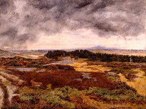 Udsigt fra Bidston Hill
